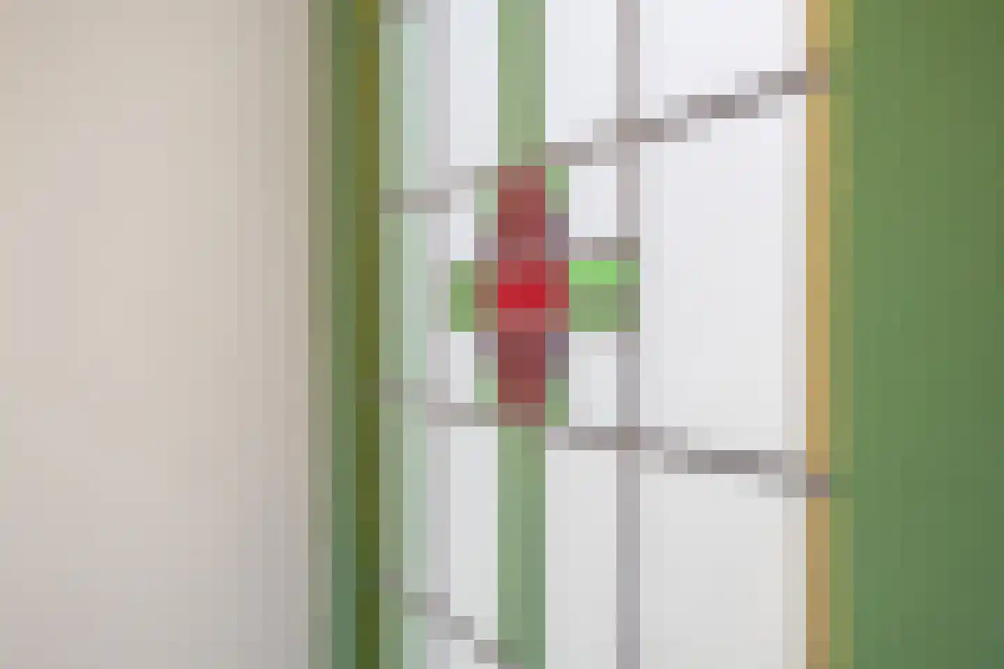 Narcissenstraat 9 Lisse thumbnail 7