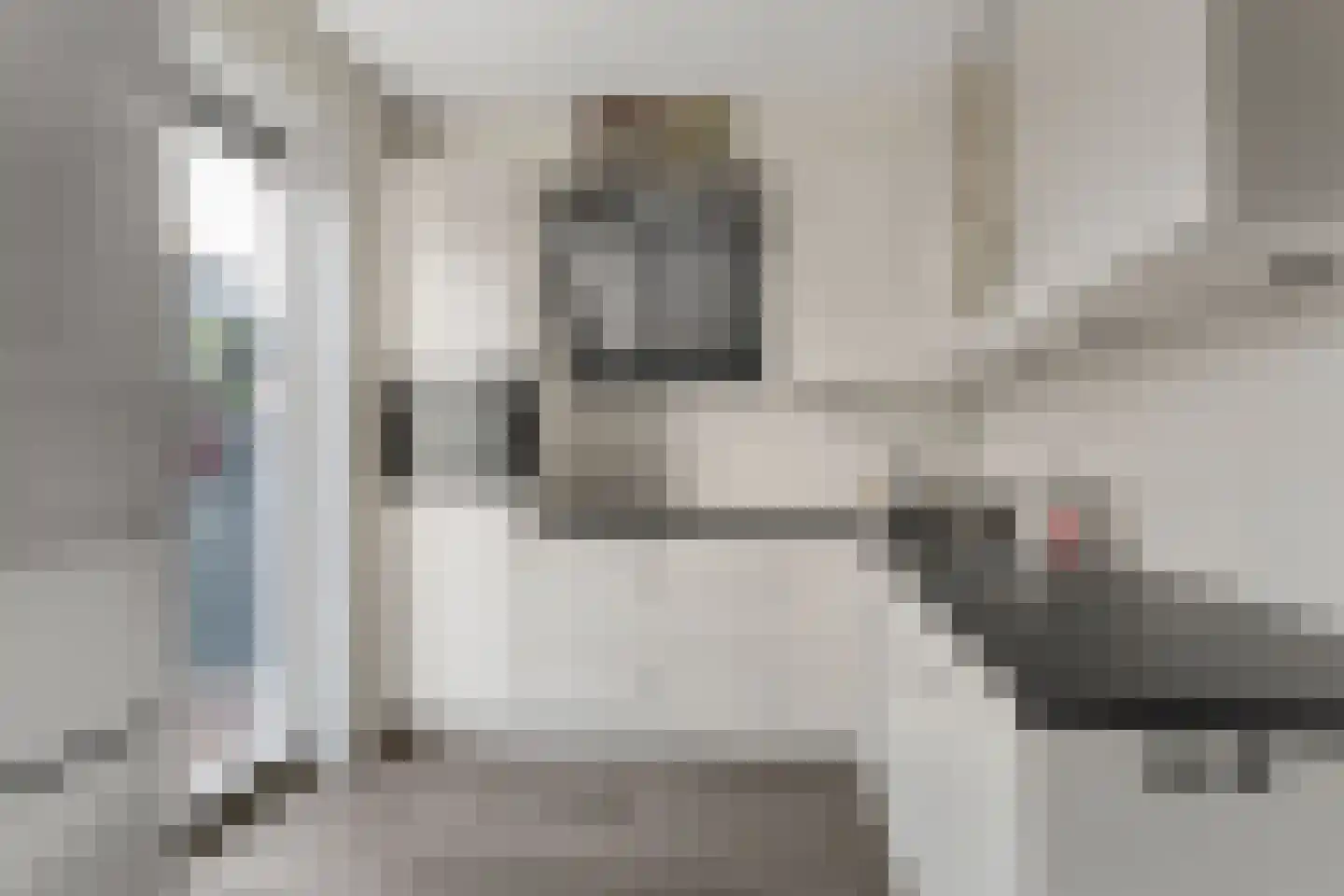 Narcissentuin 15 Houten thumbnail 10