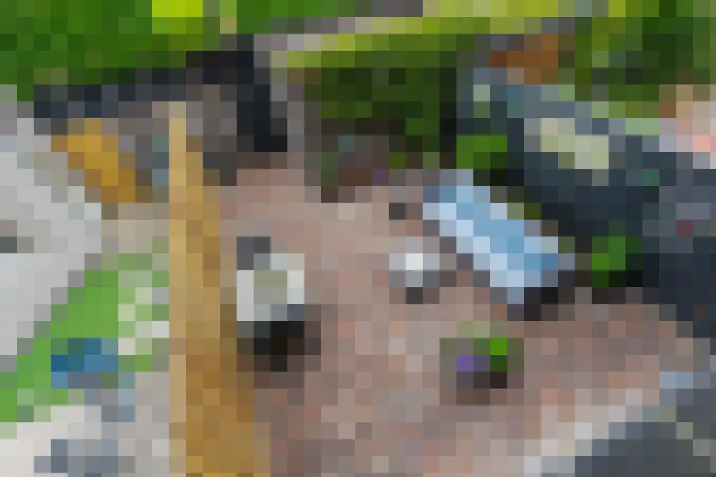 Narcissentuin 15 Houten thumbnail 23