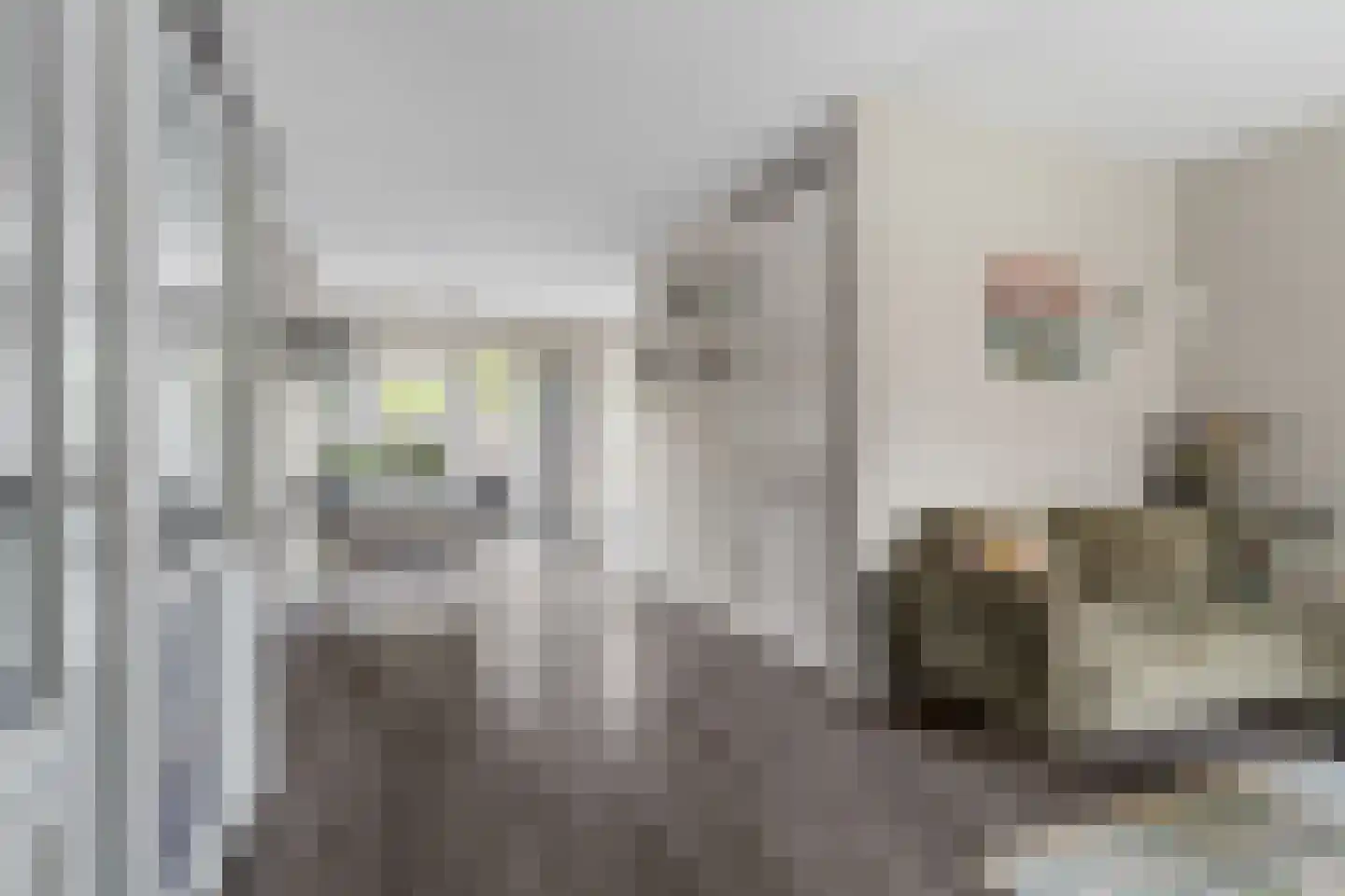 Narcissentuin 15 Houten thumbnail 4
