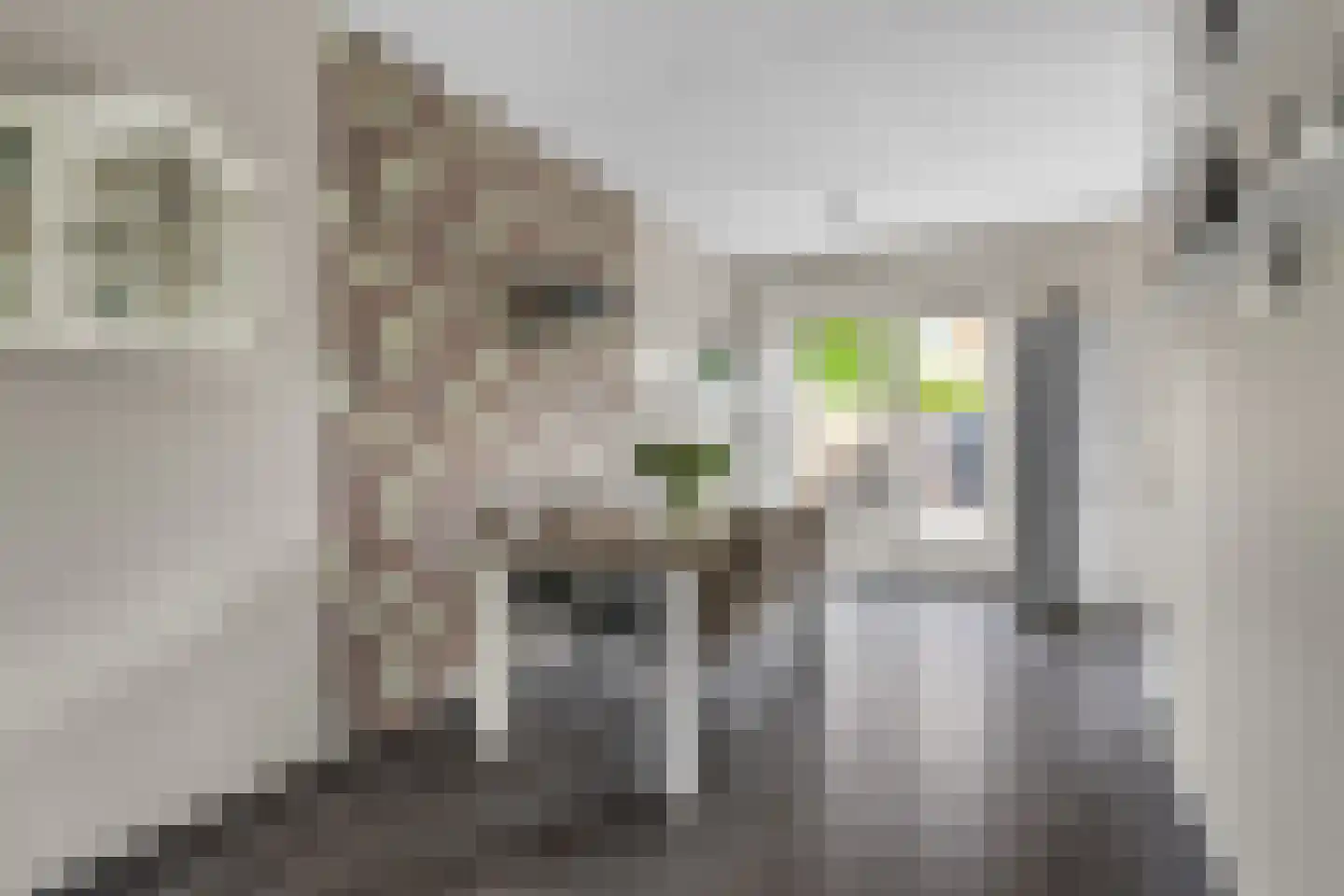 Narcissentuin 15 Houten thumbnail 8