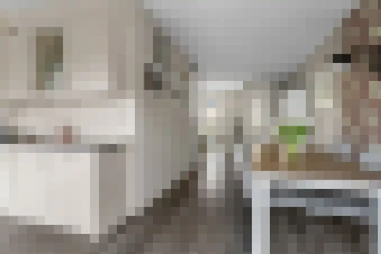 Narcissentuin 15 Houten thumbnail 9