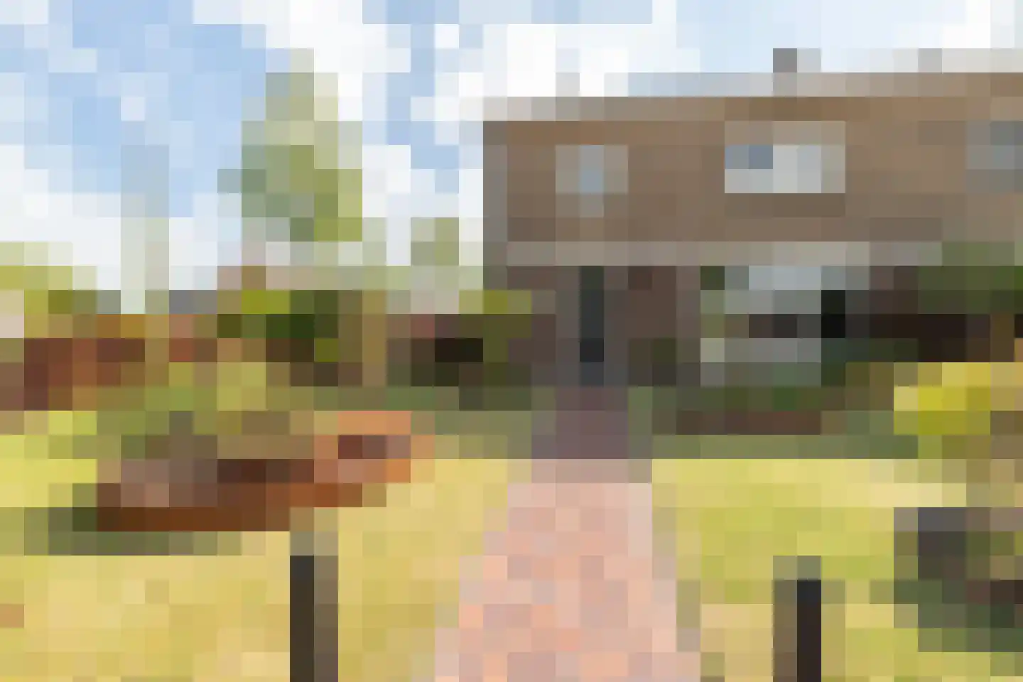 Narcisstraat 1 Assen thumbnail 4