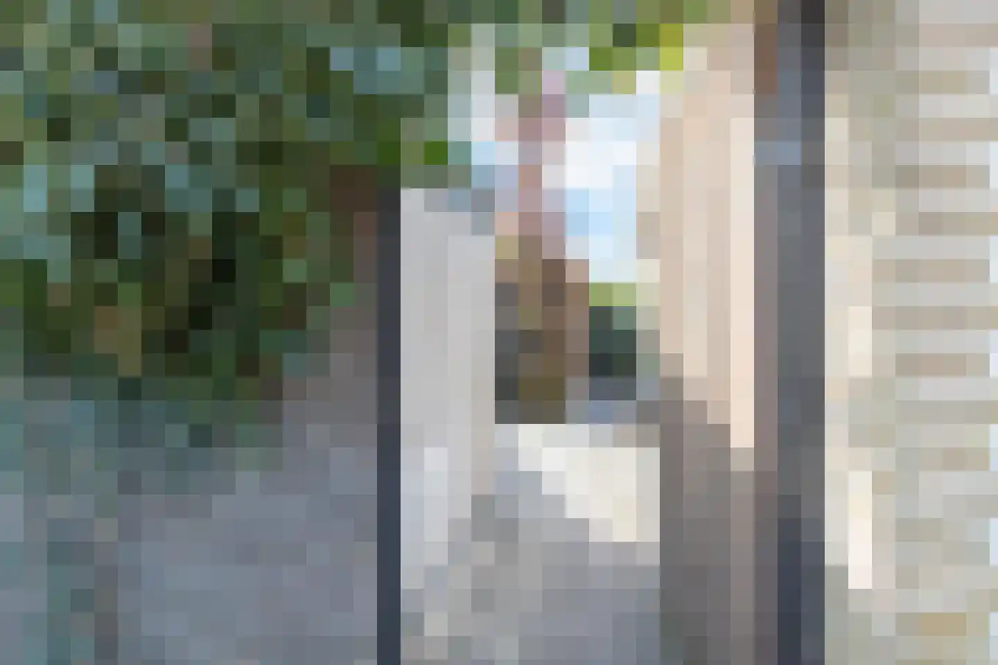 Narcisstraat 1 Assen thumbnail 46