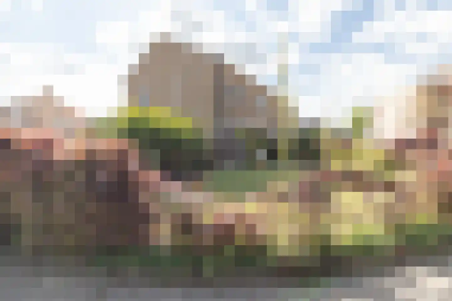 Narcisstraat 1 Assen thumbnail 48