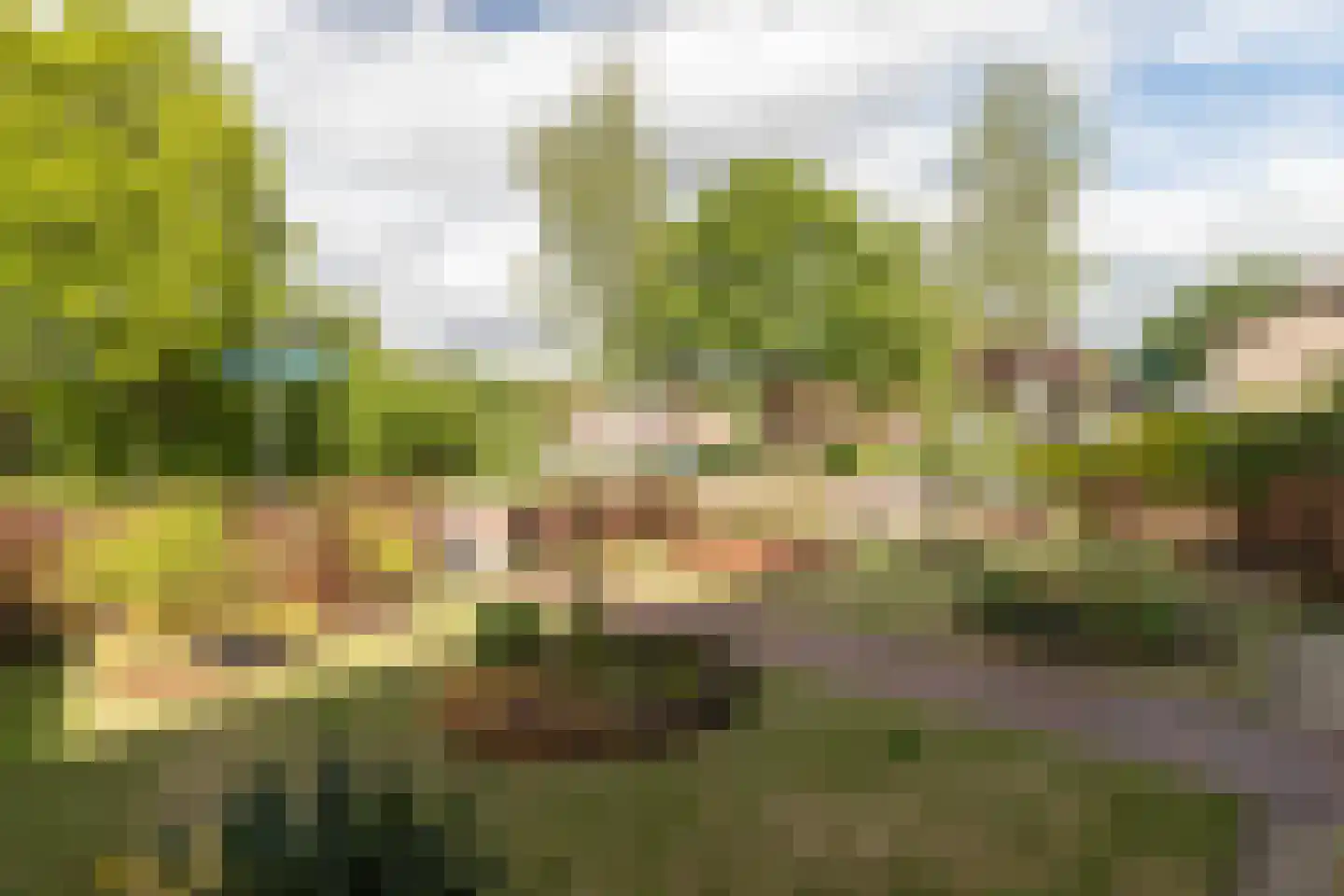Narcisstraat 1 Assen thumbnail 51