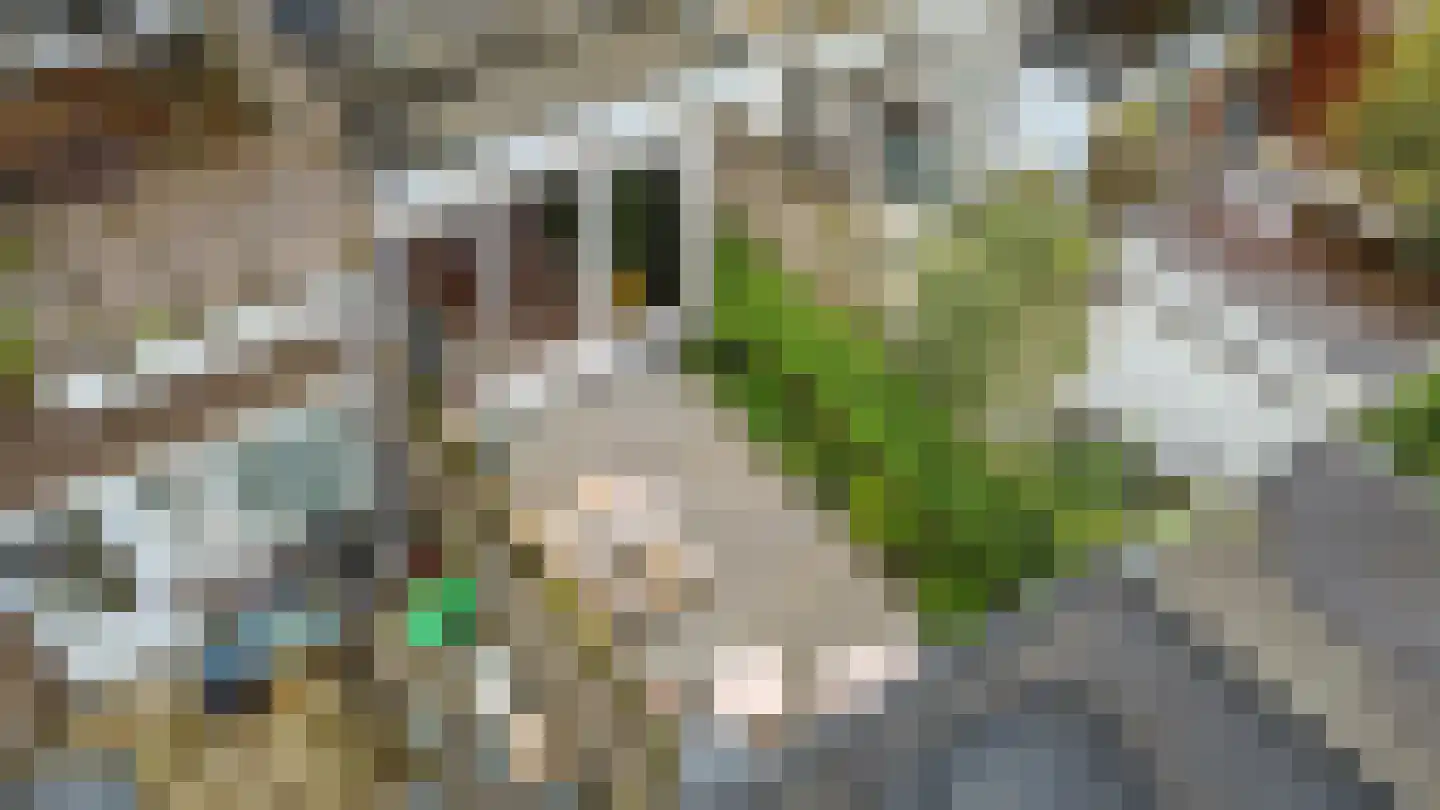 Narcisstraat 11 Utrecht thumbnail 23