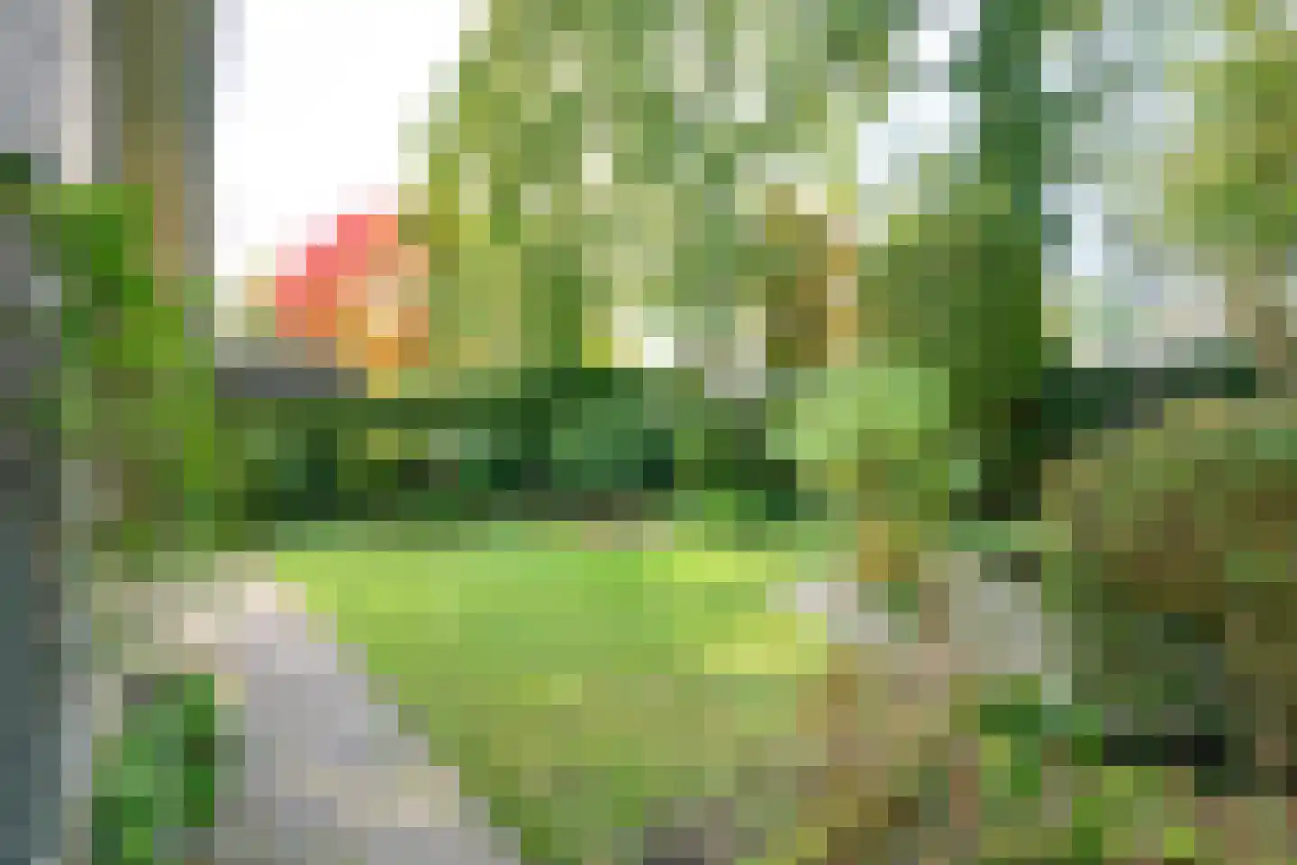 Narcisstraat 16 Brummen thumbnail 4