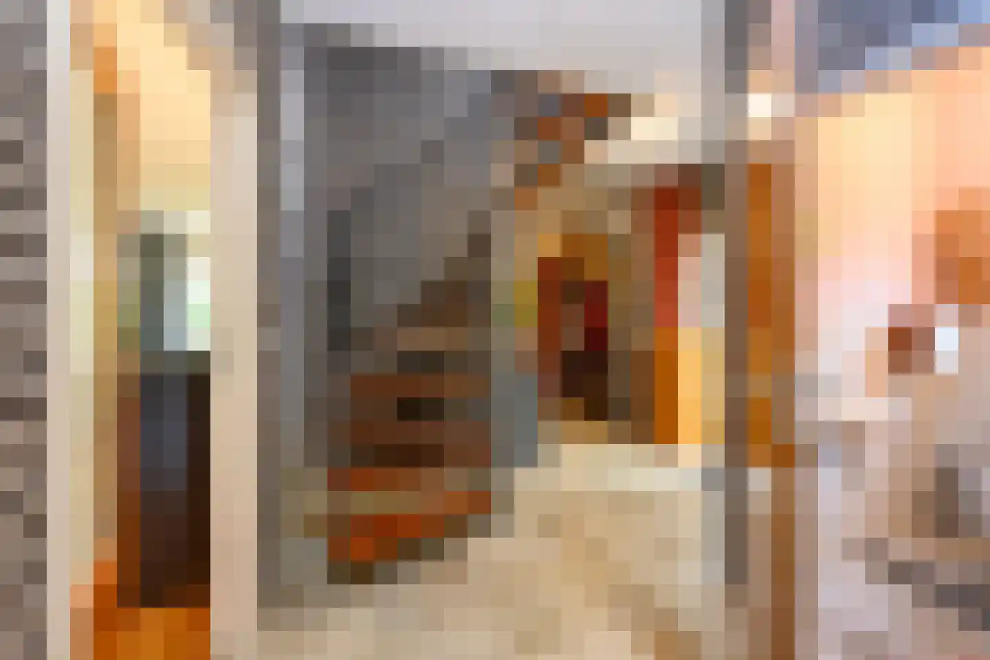 Narcisstraat 18 Brummen thumbnail 22