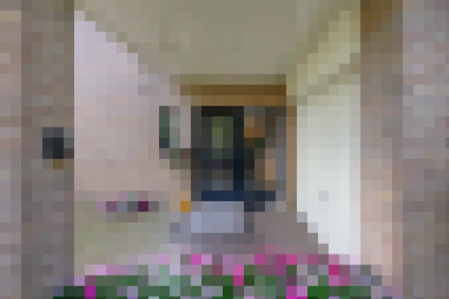 Narcisstraat 18 Brummen thumbnail 36