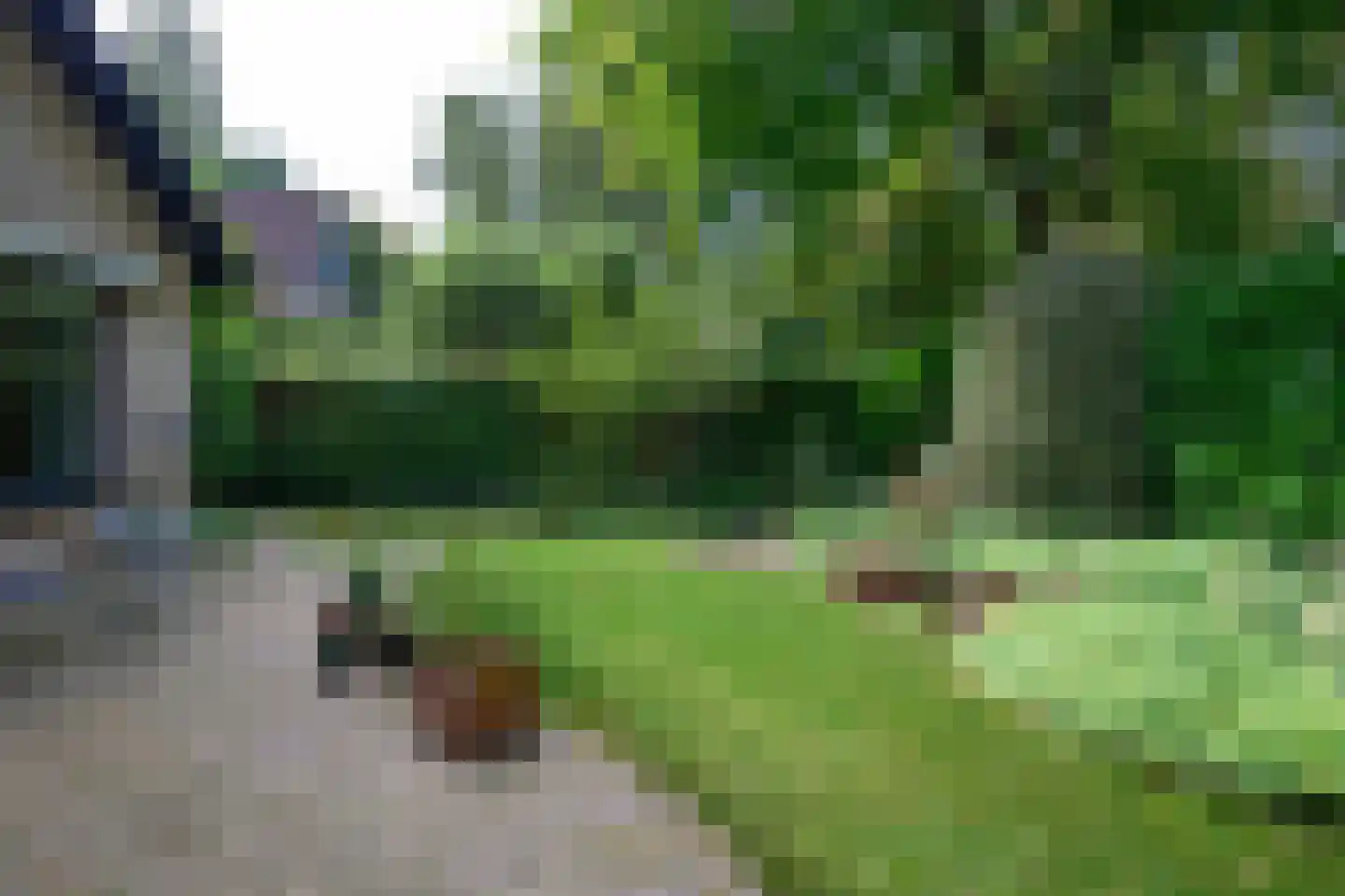 Narcisstraat 18 Brummen thumbnail 6