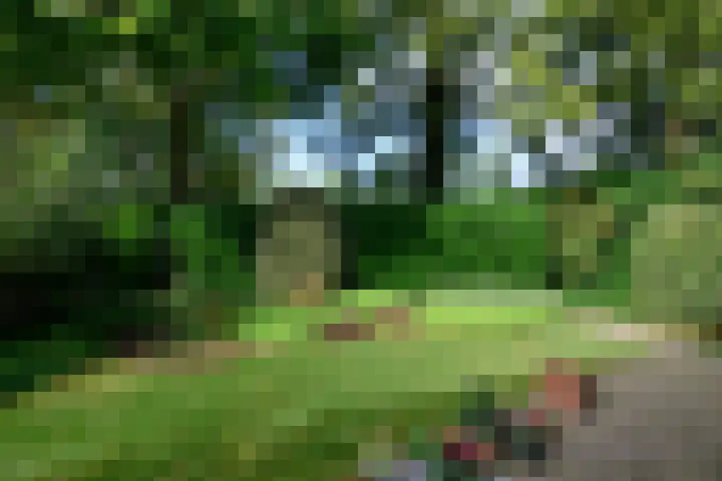 Narcisstraat 18 Brummen thumbnail 7