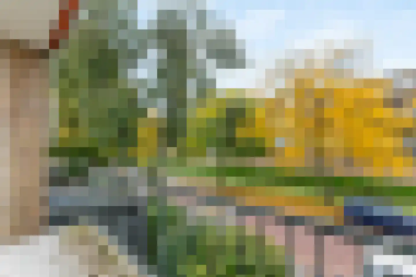 Narcisstraat 23 Zwijndrecht thumbnail 23