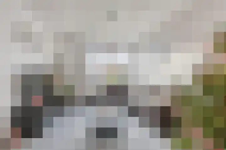 Narcisstraat 24 Uden thumbnail 11