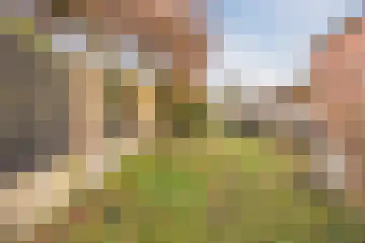 Narcisstraat 24 Uden thumbnail 34