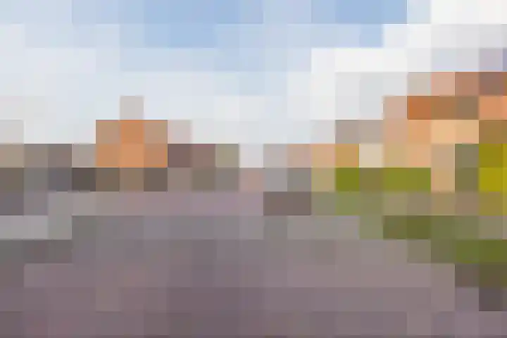 Narcisstraat 24 Uden thumbnail 5