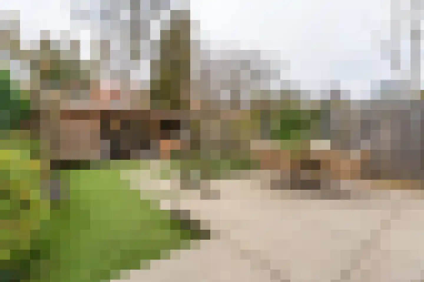 Narcisstraat 28 Voorschoten thumbnail 37