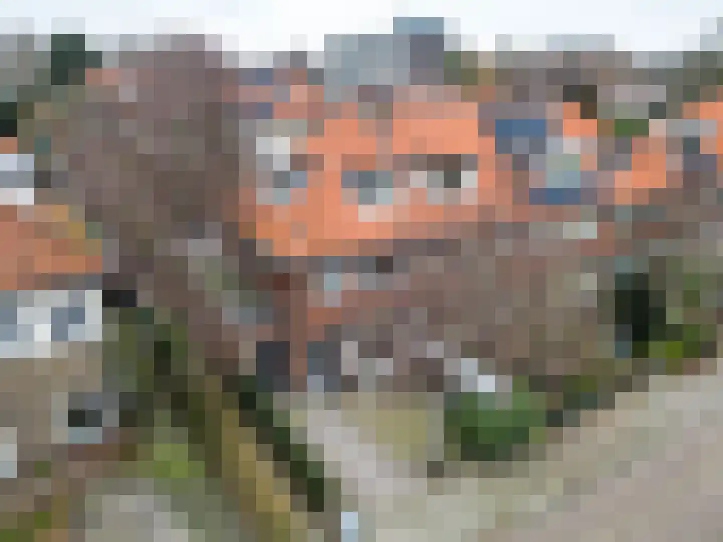 Narcisstraat 28 Voorschoten thumbnail 46