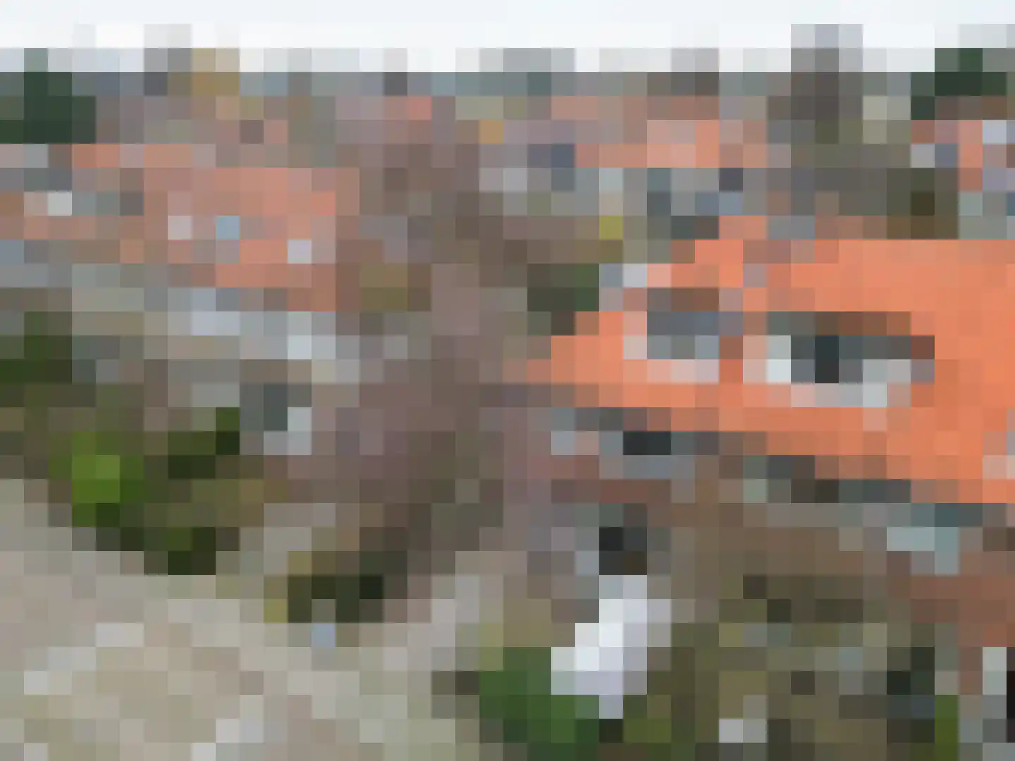 Narcisstraat 28 Voorschoten thumbnail 47