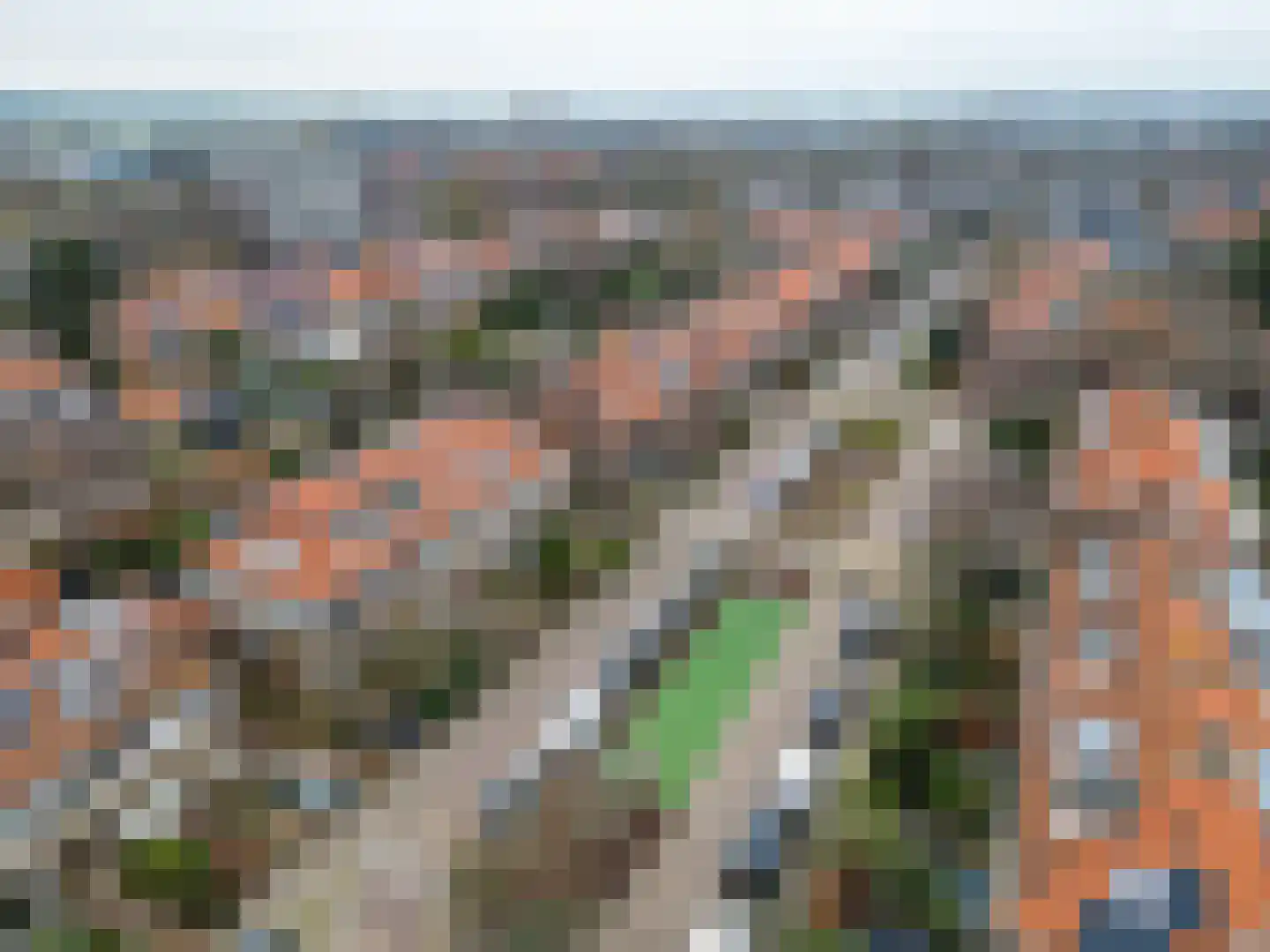 Narcisstraat 28 Voorschoten thumbnail 48