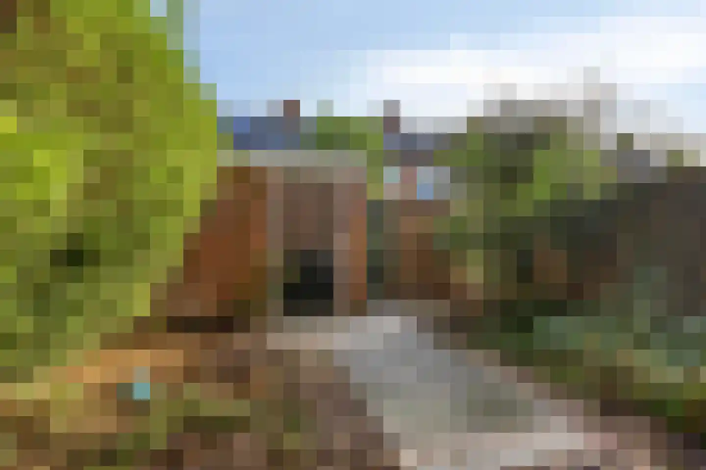Narcisstraat 3 Giesbeek thumbnail 20