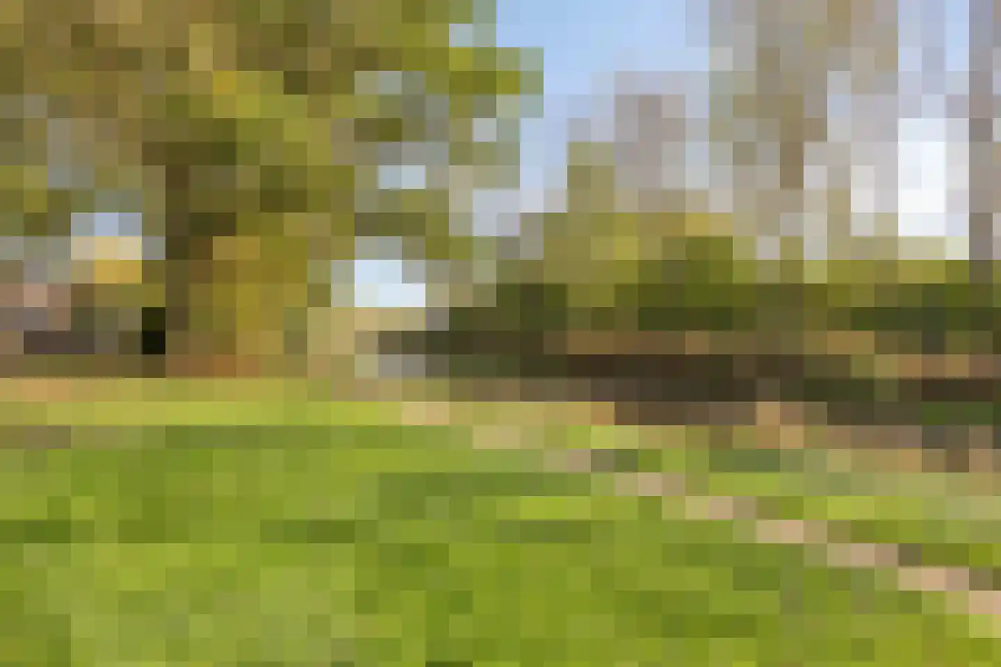 Narcisstraat 3 Giesbeek thumbnail 23