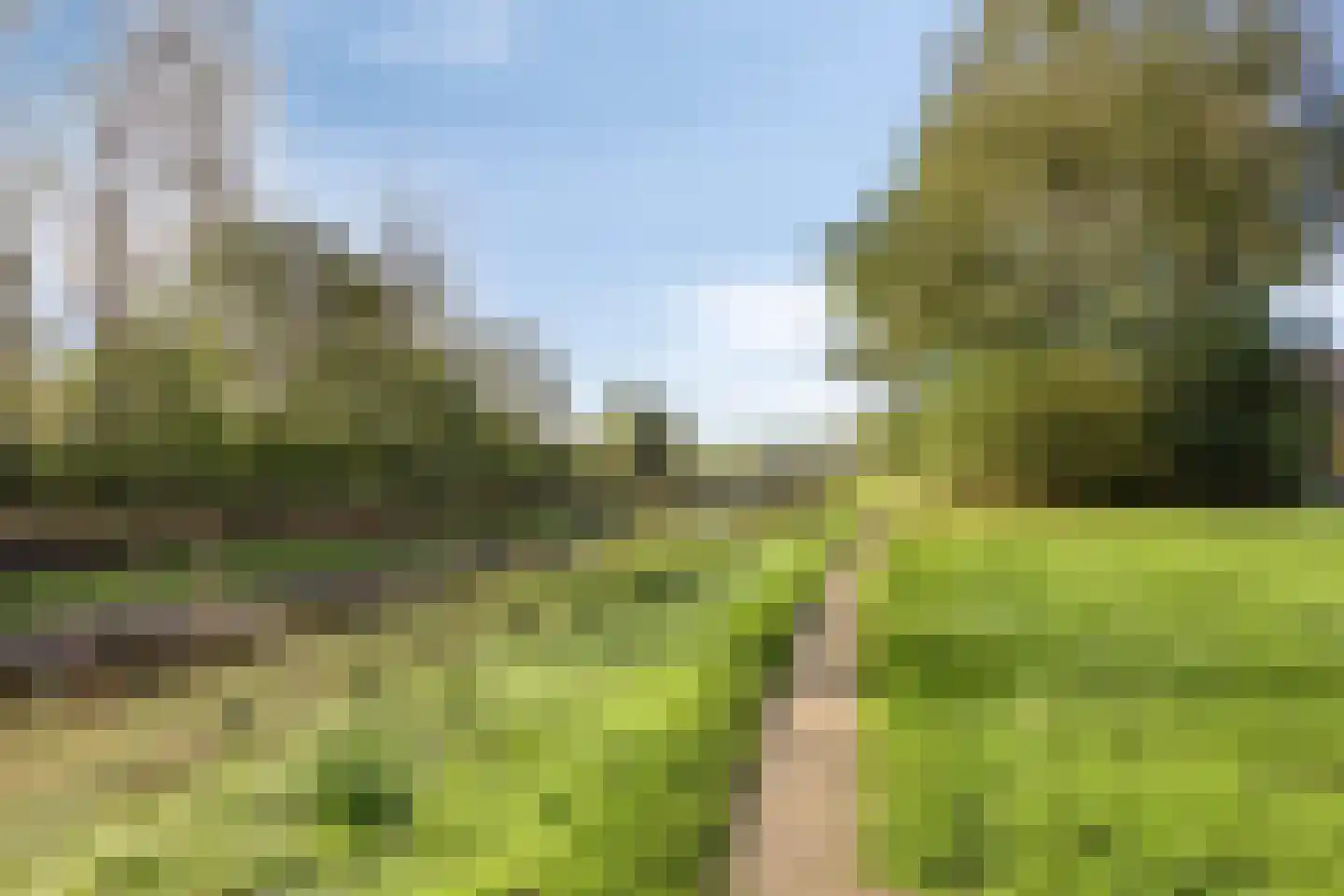 Narcisstraat 3 Giesbeek thumbnail 24