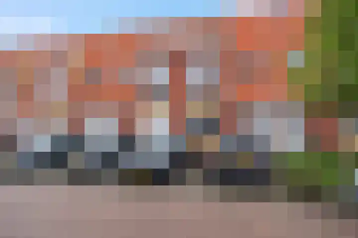Narcisstraat 31 Veenendaal thumbnail 26