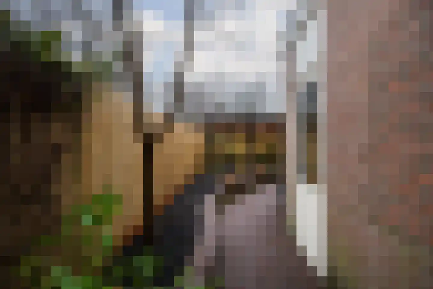 Narcisstraat 36 Utrecht thumbnail 34