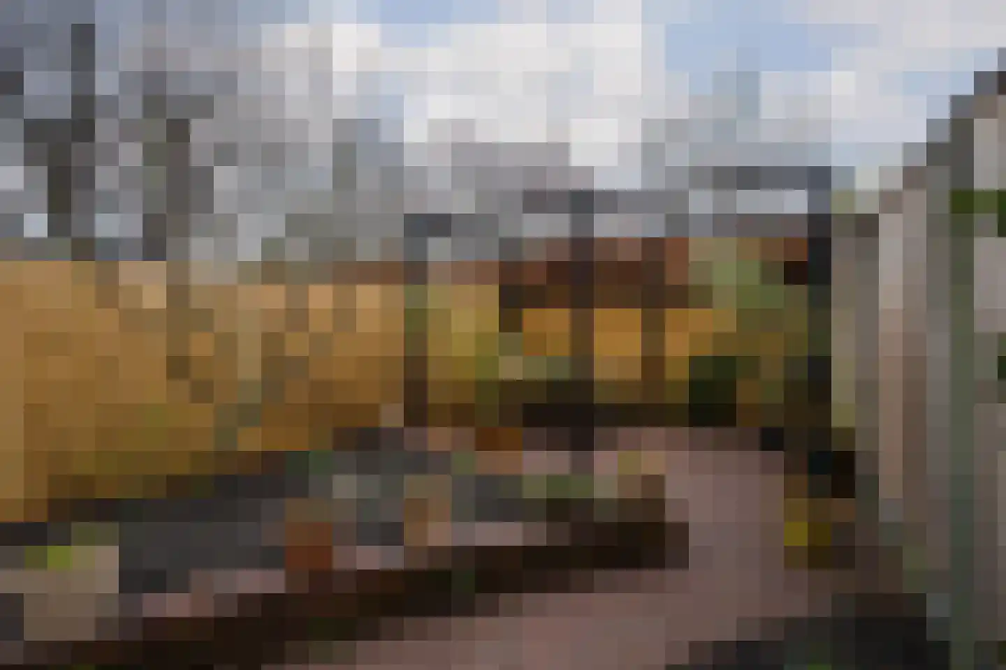 Narcisstraat 36 Utrecht thumbnail 37