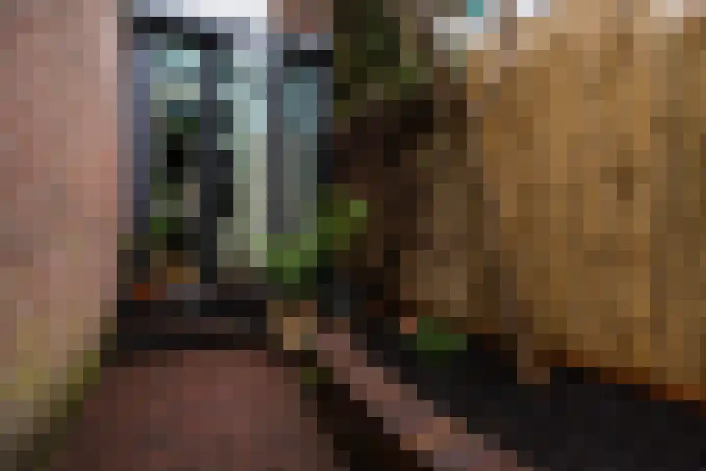 Narcisstraat 36 Utrecht thumbnail 42