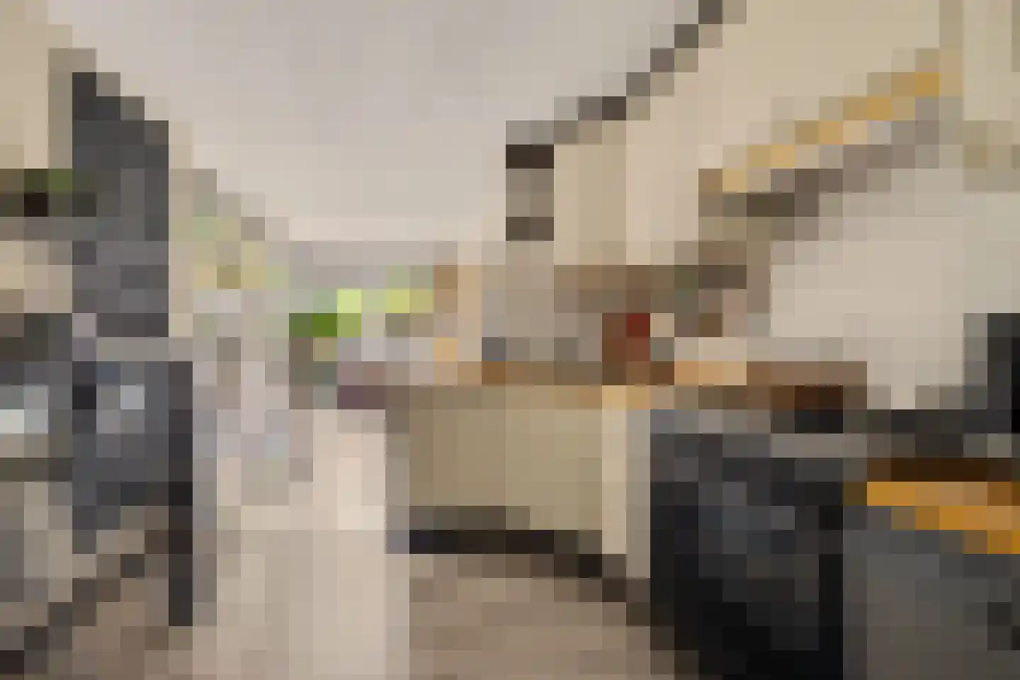 Narcisstraat 37 Putte thumbnail 9