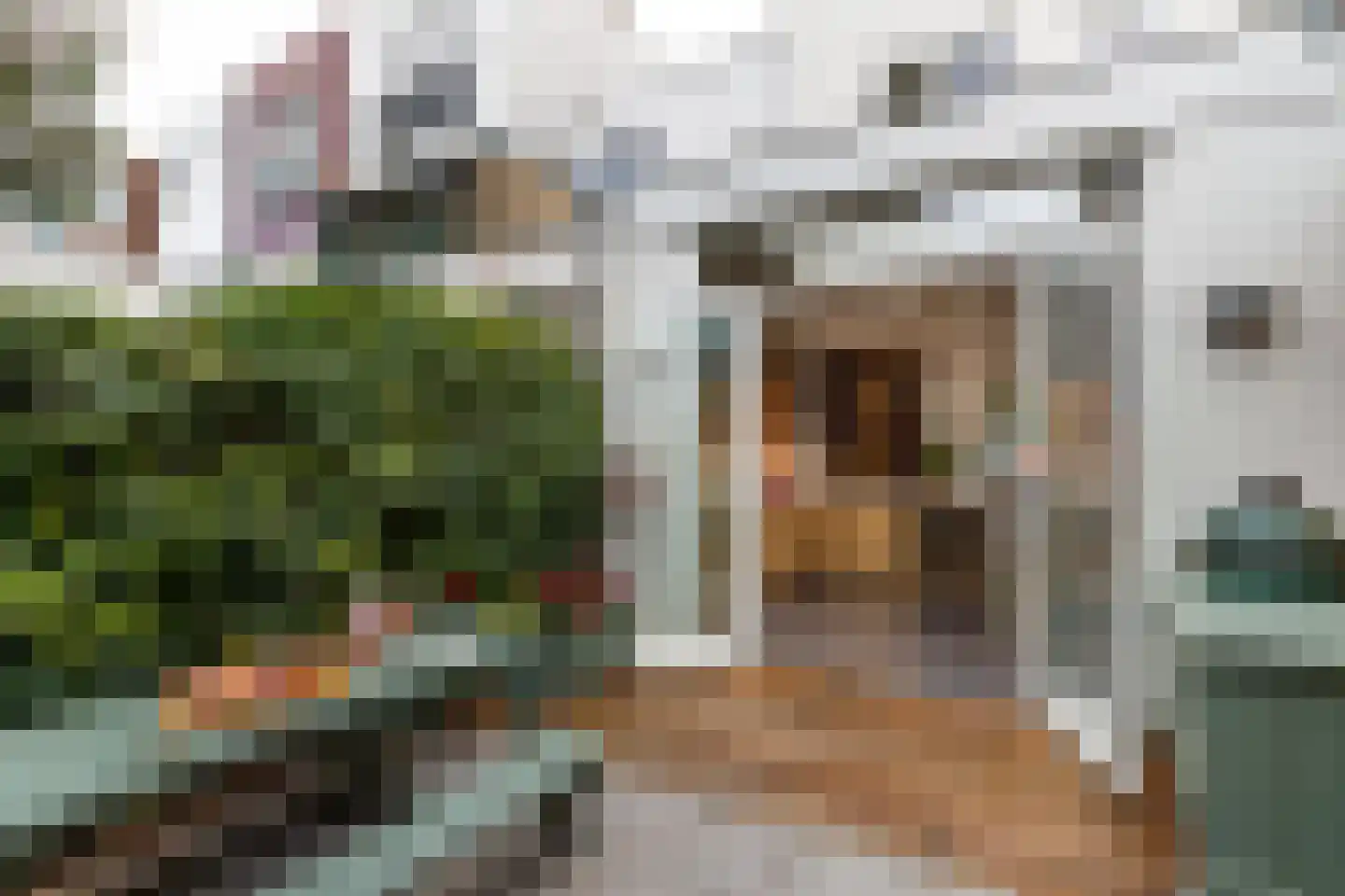 Narcisstraat 39 Utrecht thumbnail 13