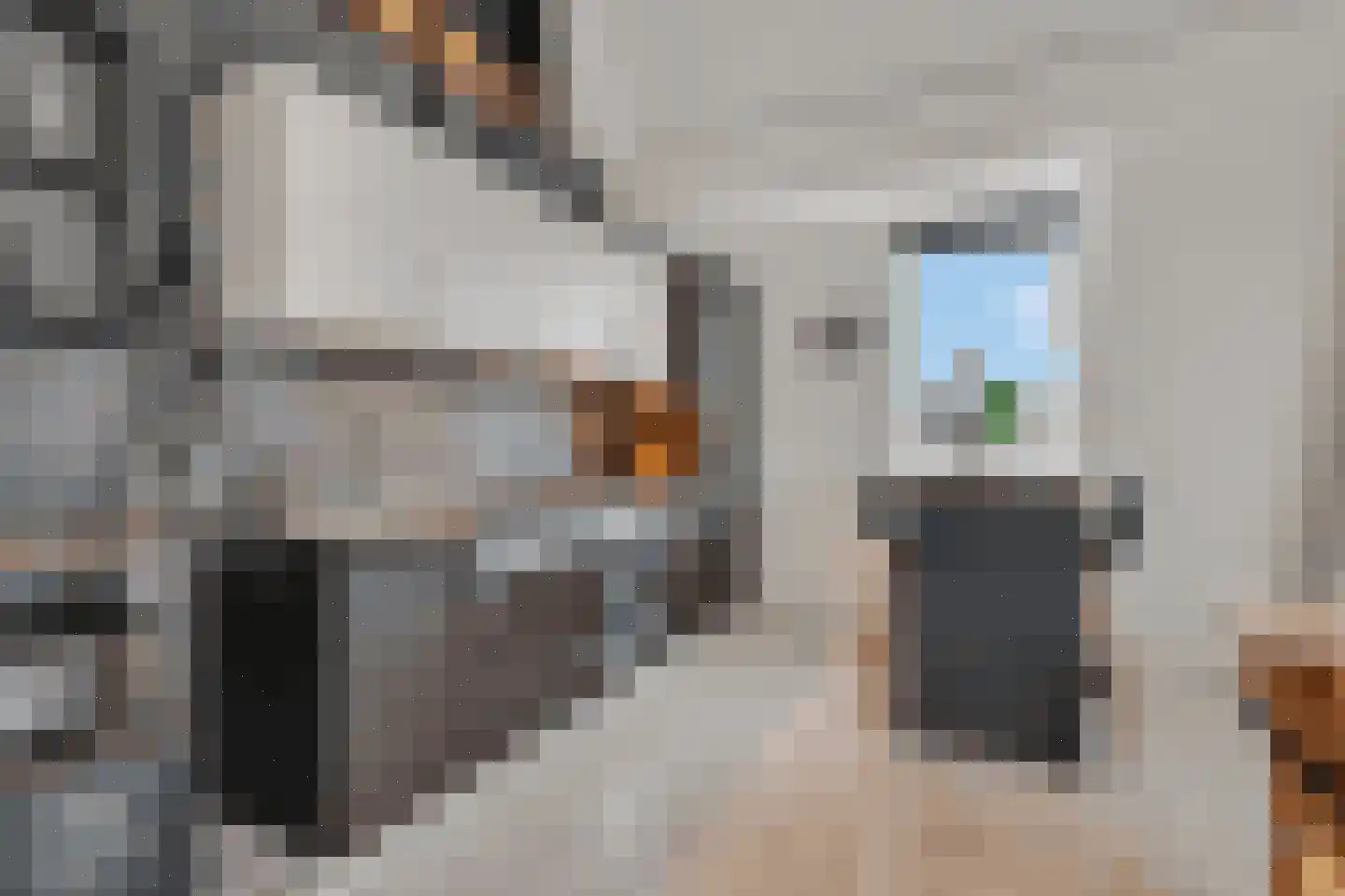 Narcisstraat 4 Veenendaal thumbnail 7