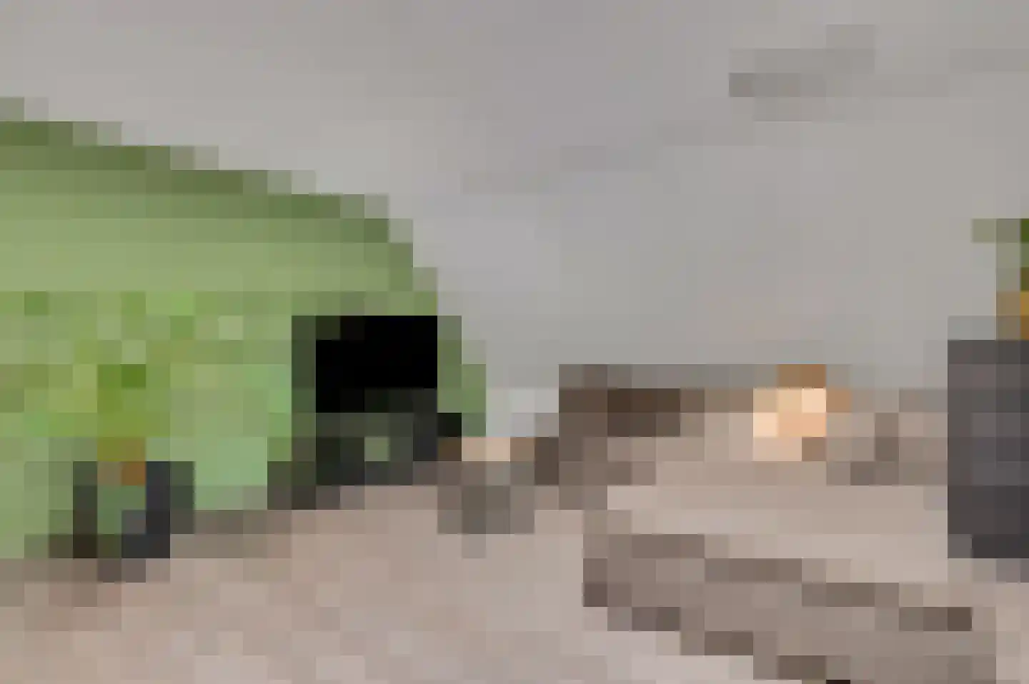 Narcisstraat 4 Veenendaal thumbnail 9