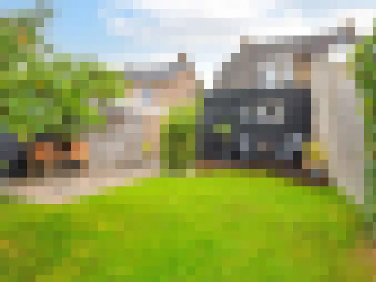 Narcisstraat 43 Assen thumbnail 44