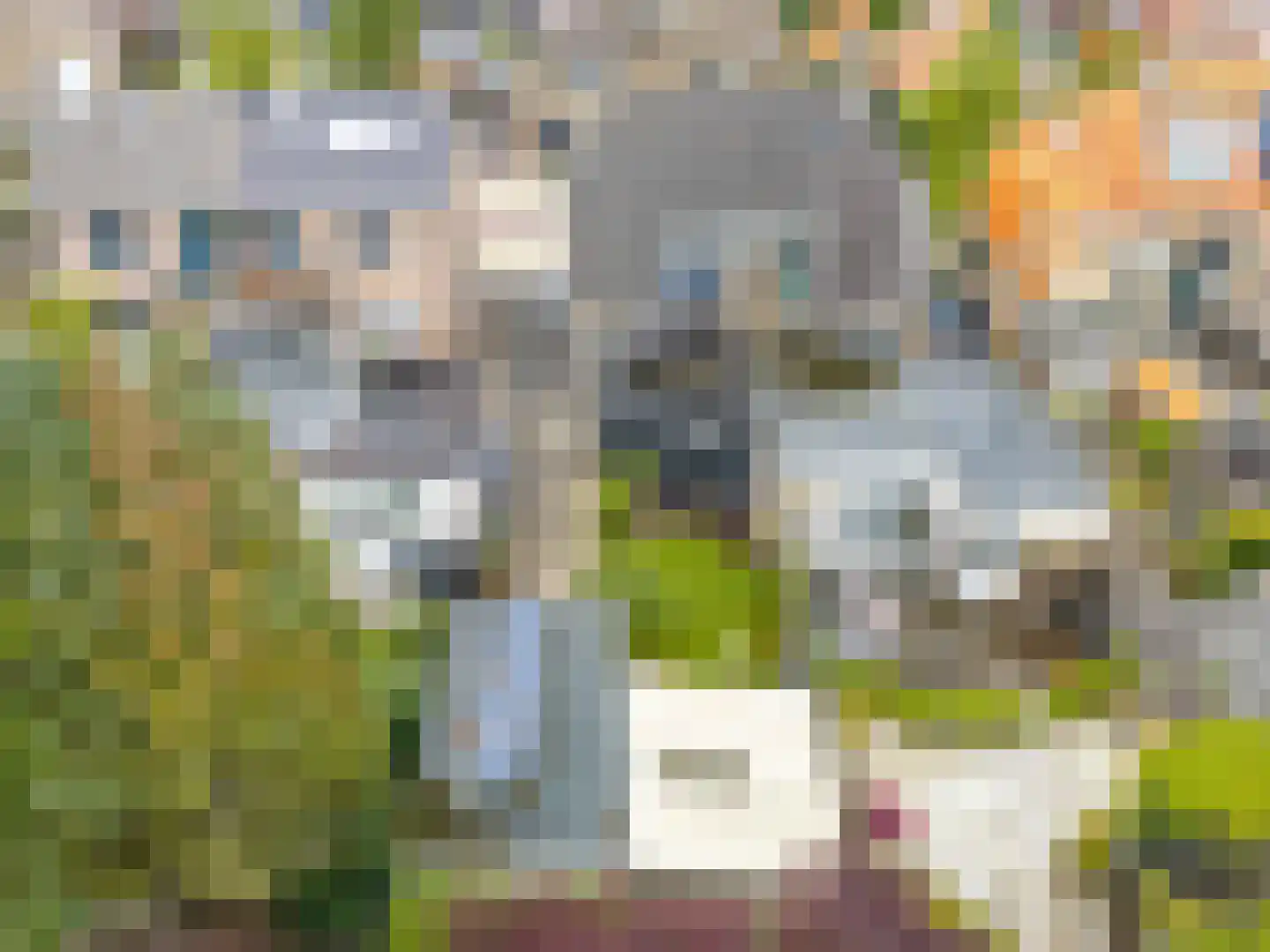 Narcisstraat 43 Assen thumbnail 52