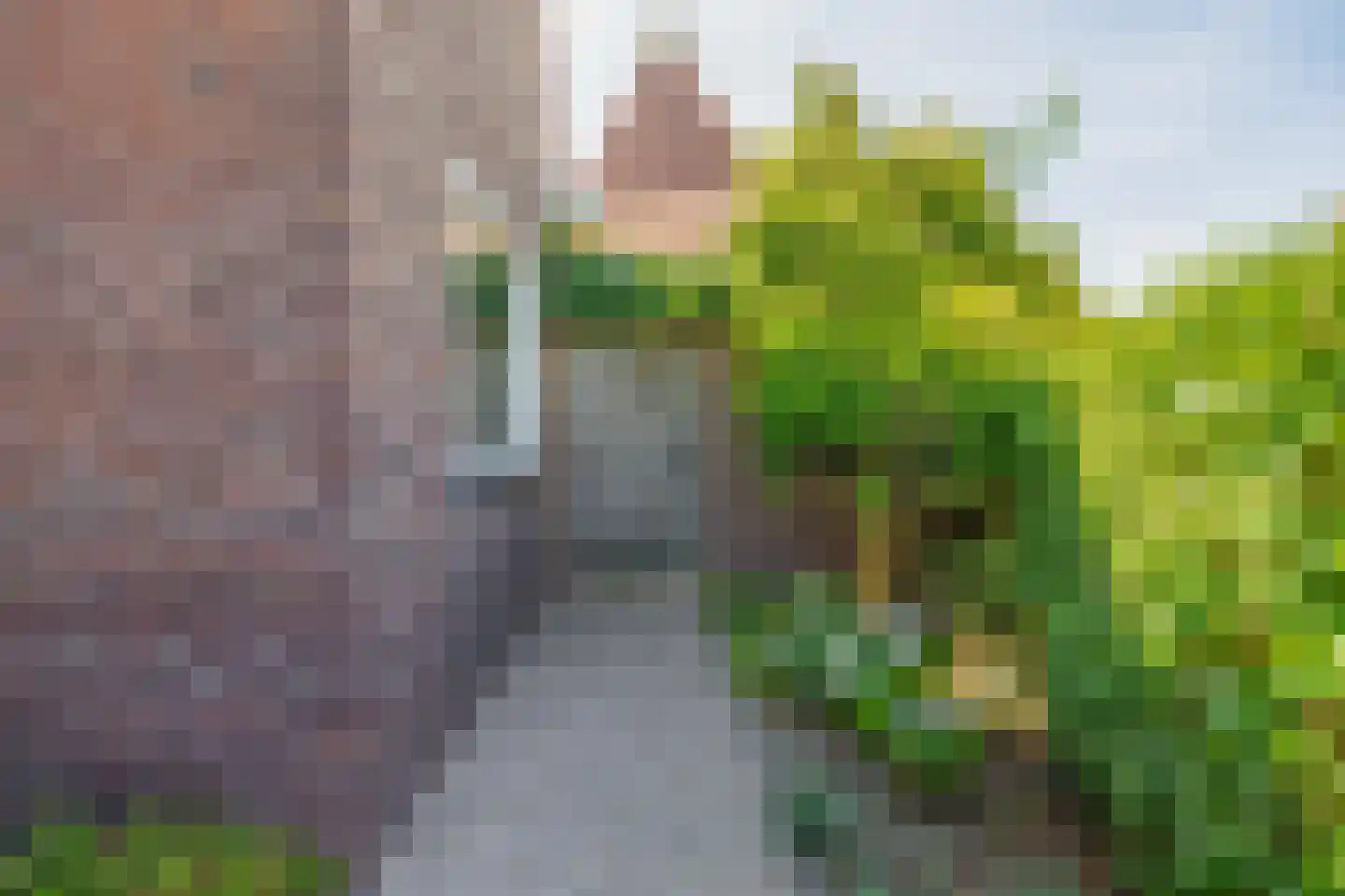 Narcisstraat 47 A Den Helder thumbnail 41