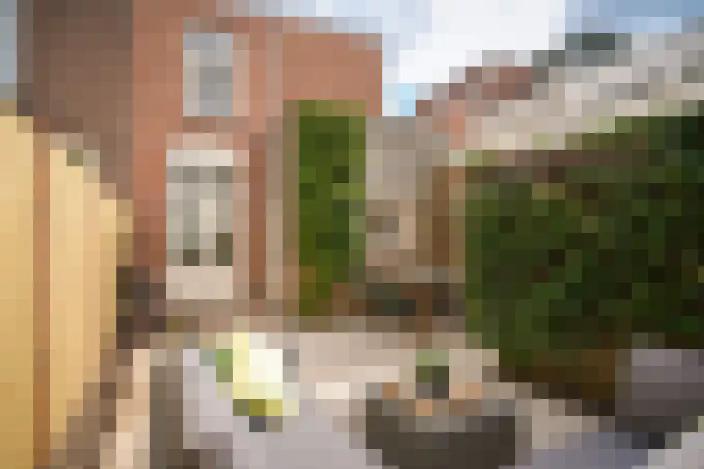 Narcisstraat 51 Utrecht thumbnail 19