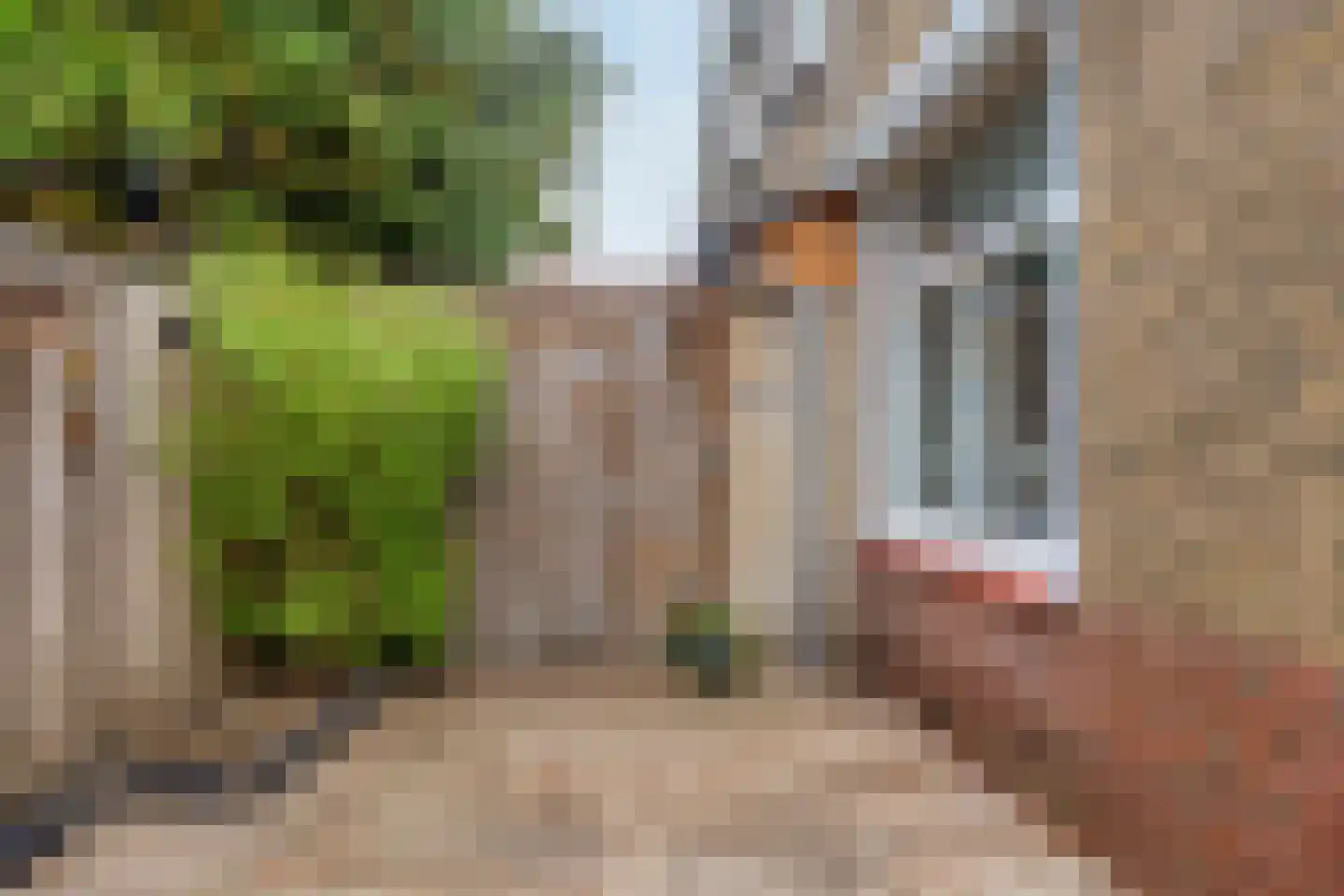 Narcisstraat 55 Assen thumbnail 29