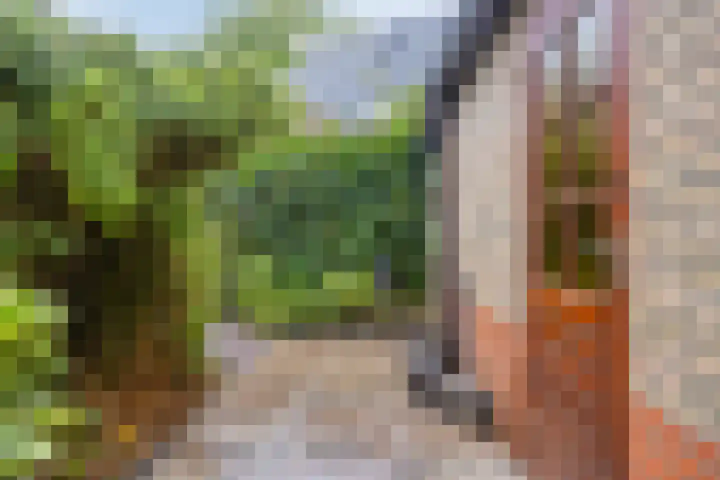 Narcisstraat 55 Assen thumbnail 32