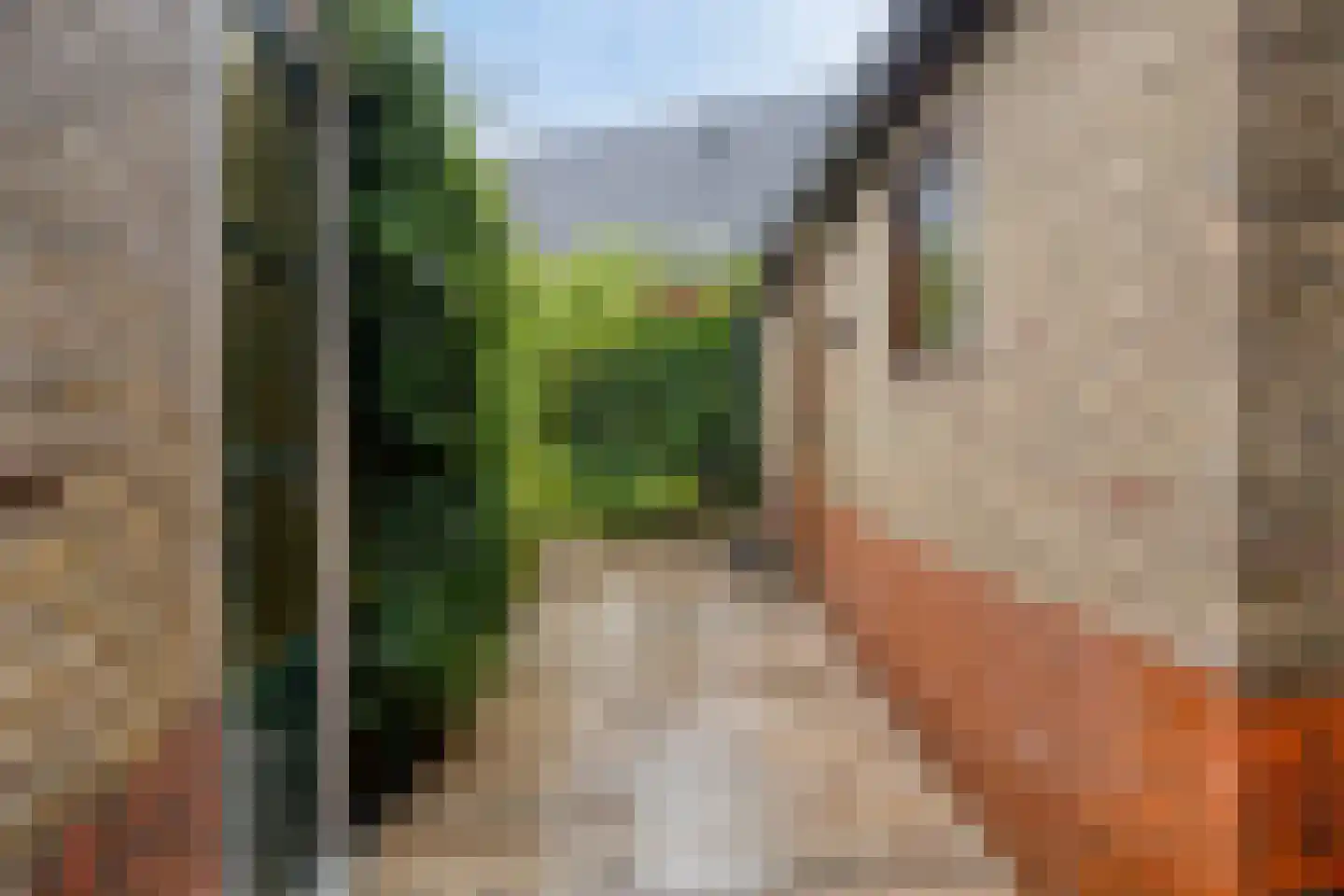 Narcisstraat 55 Assen thumbnail 33