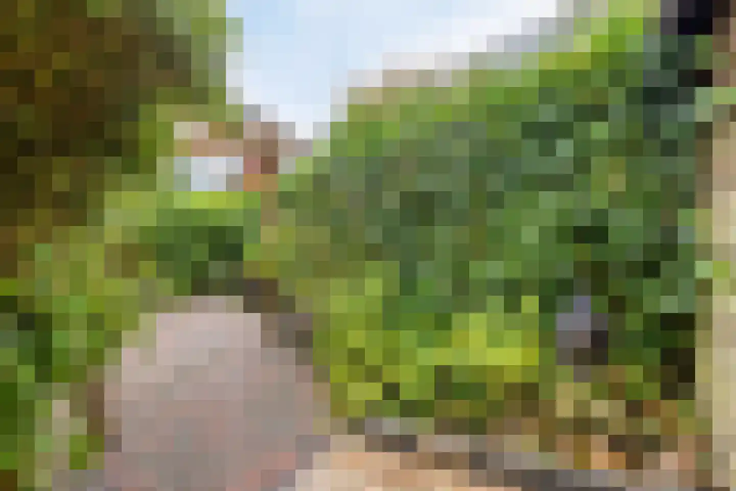 Narcisstraat 55 Assen thumbnail 35