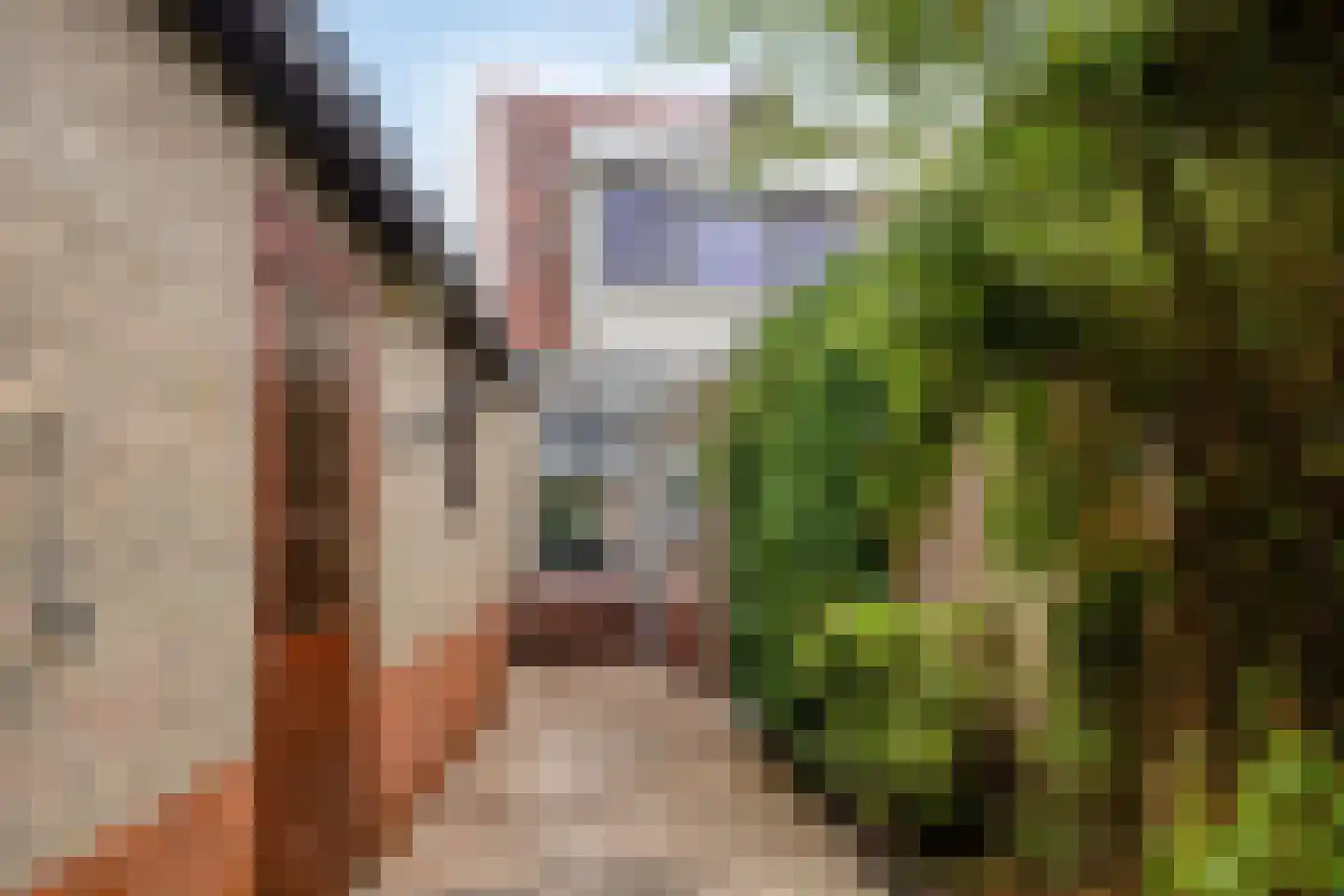Narcisstraat 55 Assen thumbnail 37