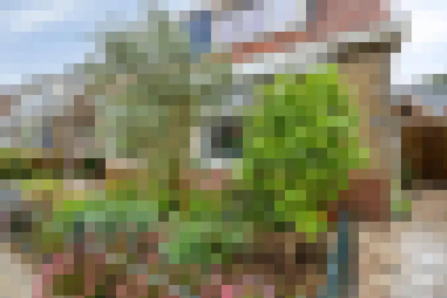Narcisstraat 55 Assen thumbnail 39