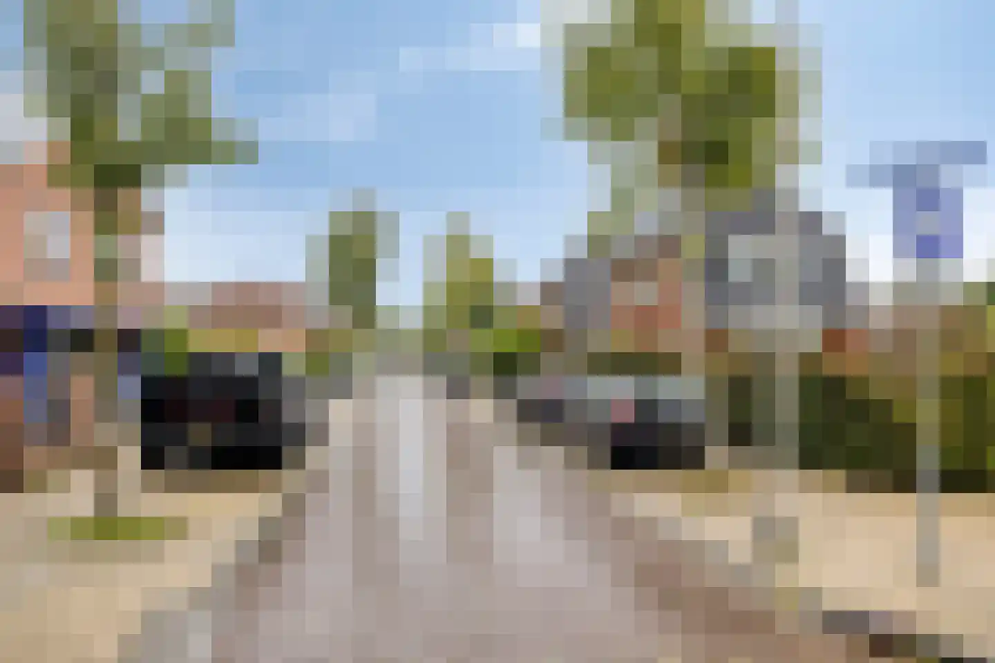 Narcisstraat 55 Assen thumbnail 40