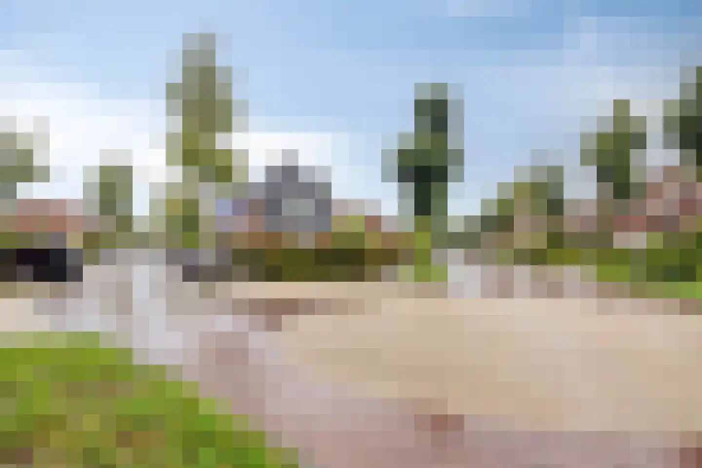 Narcisstraat 55 Assen thumbnail 42