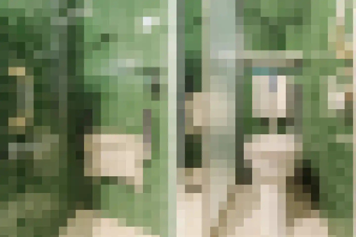 Narcisstraat 55 Uden thumbnail 33