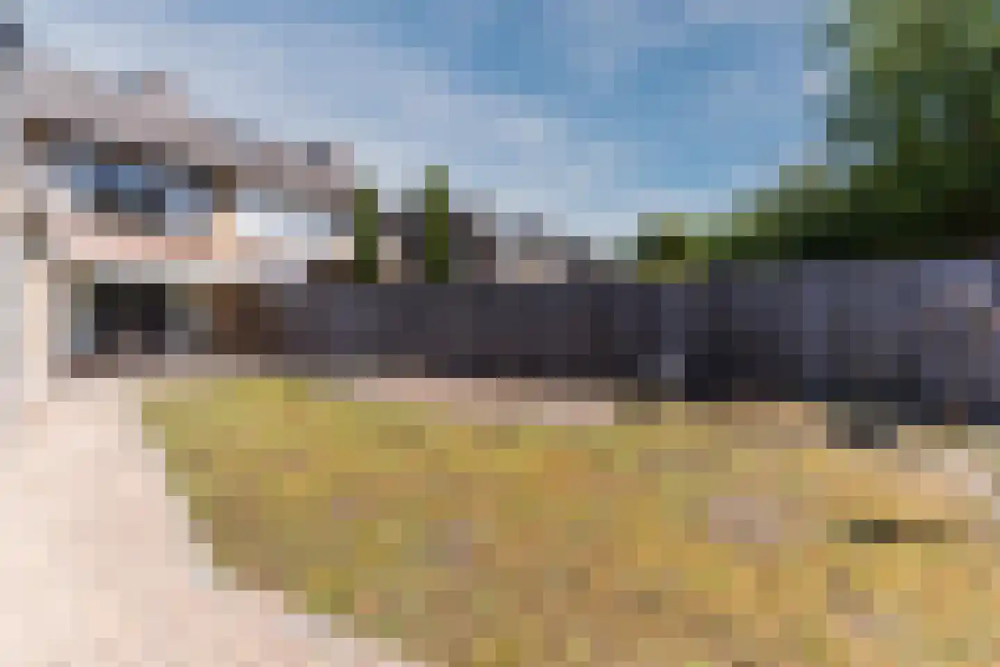 Narcisstraat 55 Uden thumbnail 47