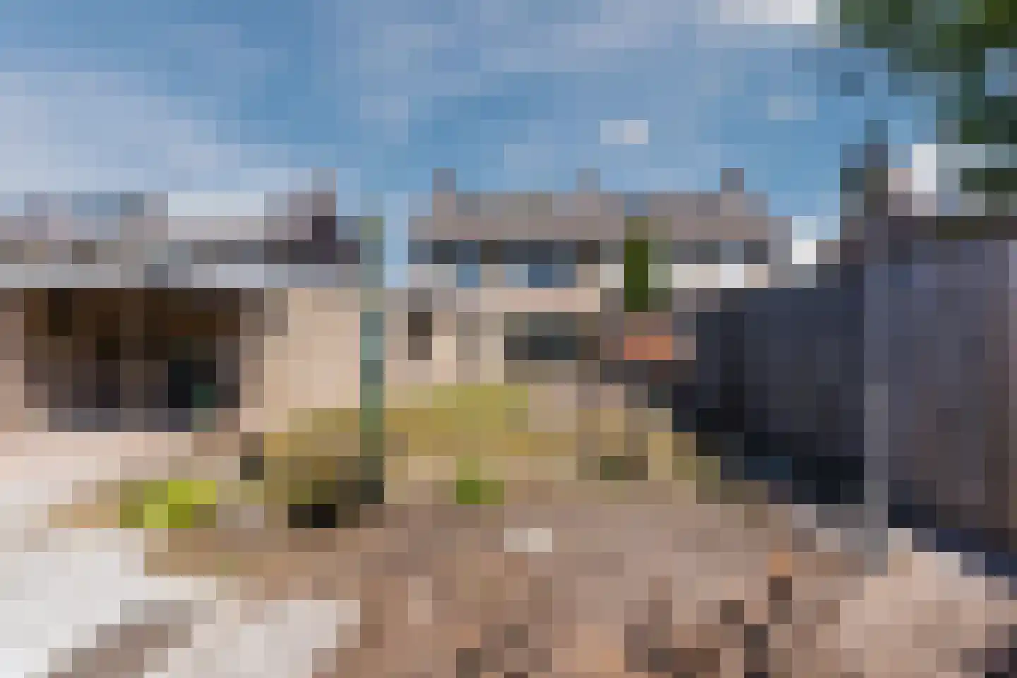Narcisstraat 55 Uden thumbnail 50